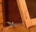 SUMMERHOUSES - Additional windows