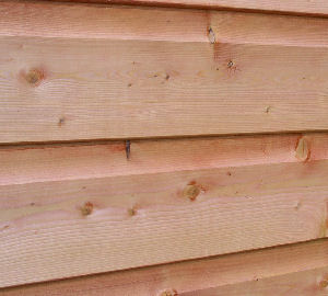 GREENHOUSES xx - Close up view of cladding