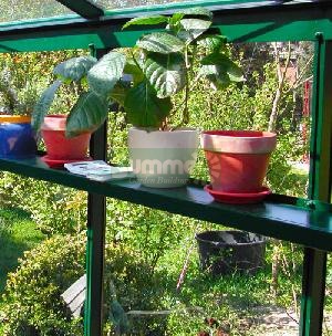 GREENHOUSES xx - High level shelving