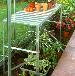GREENHOUSES - Slatted staging