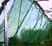 GREENHOUSES - Shade netting