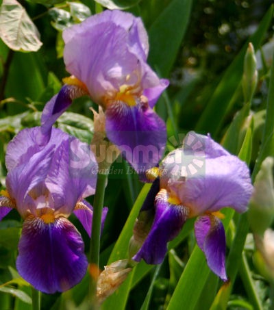 Customer Emails 2011 Customer Emails 2011