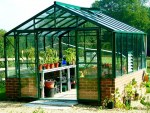 Robinsons Rosette Dwarf Wall Greenhouse Robinsons Rosette Dwarf Wall Greenhouse