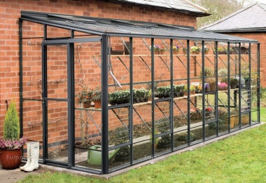 Robinsons 6ft Lean to Greenhouse